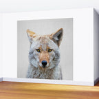 Coyote - Colorful Wall Mural Gallery Image 2