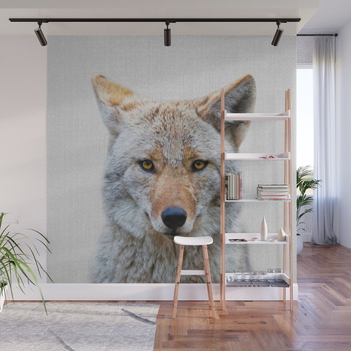 Coyote - Colorful Wall Mural Gallery Image 1