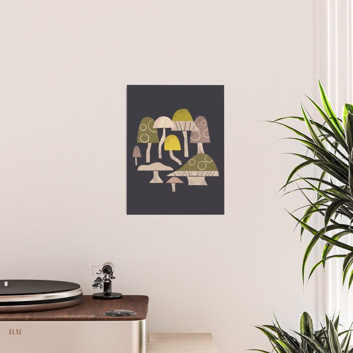 Toadstools Poster Gallery Image 2