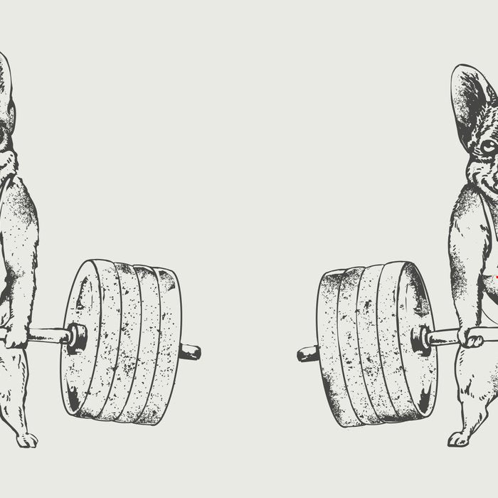 Frenchie Lift Coffee Mug Gallery Image 2