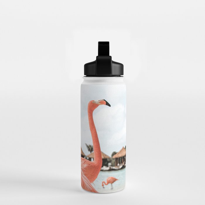 Pink Flamingos On Aruba Island Art Photo | Caribbean Beach Wall Print | Tropical Travel Photography Water Bottle Gallery Image 2
