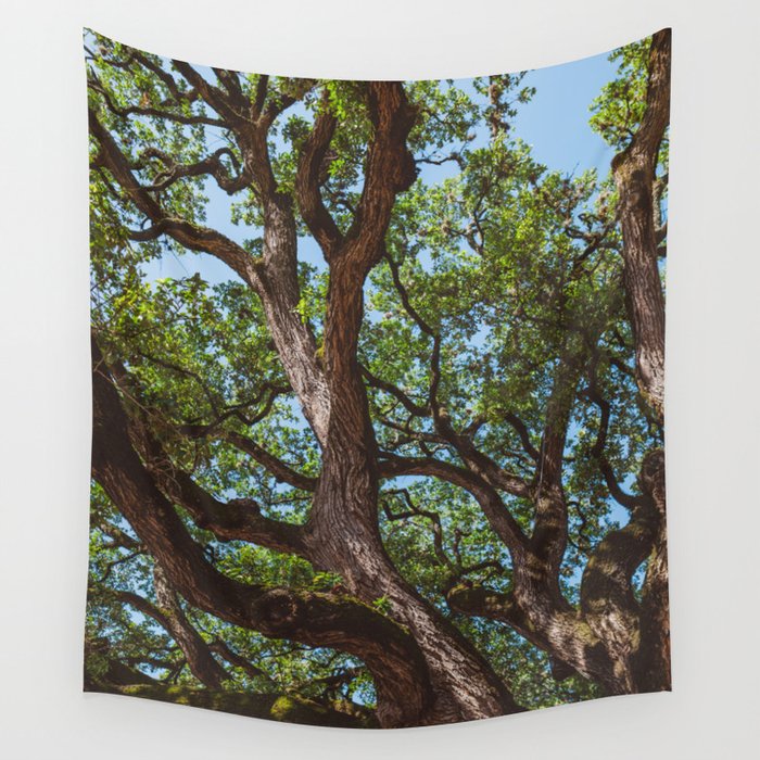 Texas Cottonwood Wall Tapestry Gallery Image 4