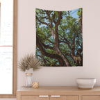 Texas Cottonwood Wall Tapestry Gallery Image 2