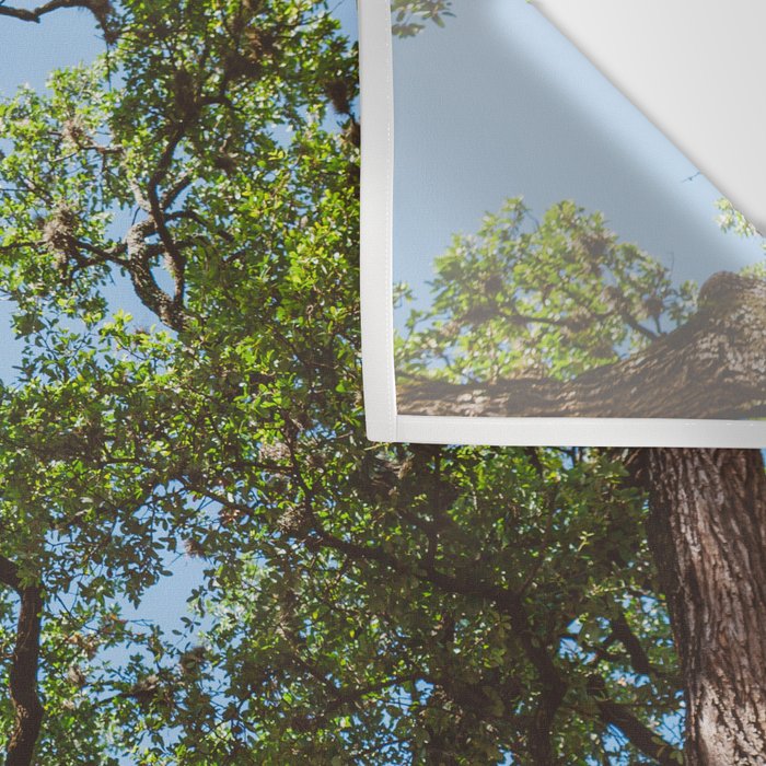 Texas Cottonwood Wall Tapestry Gallery Image 3