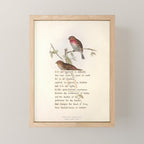Lesser Redpole Divination from # An Almanac of Birds # Divinations for Uncertain Days Mini Art Print Gallery Image 1