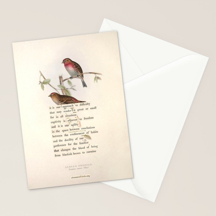 Lesser Redpole Divination from # An Almanac of Birds # Divinations for Uncertain Days Stationery Card Gallery Image 2