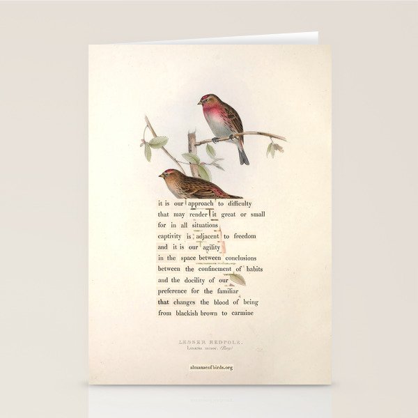 Lesser Redpole Divination from # An Almanac of Birds # Divinations for Uncertain Days Stationery Card Gallery Image 1