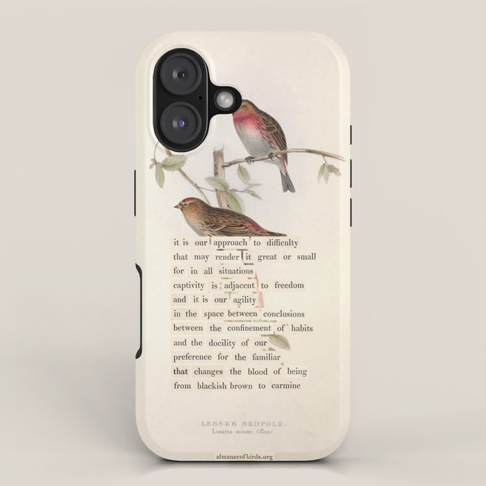 Lesser Redpole Divination from # An Almanac of Birds # Divinations for Uncertain Days iPhone Case Gallery Image 1