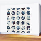 Botanical Cyanotypes Wall Mural Gallery Image 2