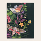 Hummingbird Moth Notebook Gallery Image 4