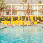 Palm Springs Motel Pool Coffee Mug Gallery Image 2