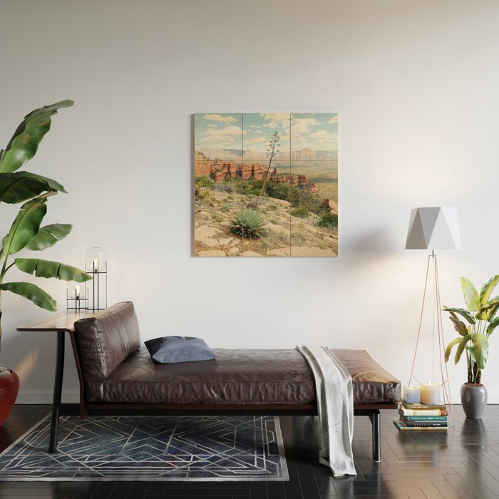 Sedona Red Sandstone Desert Agave Wood Wall Art Gallery Image 2