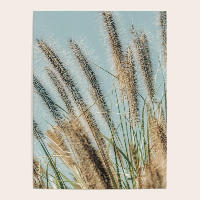 Ornamental Grasses 1 Poster Gallery Image 1