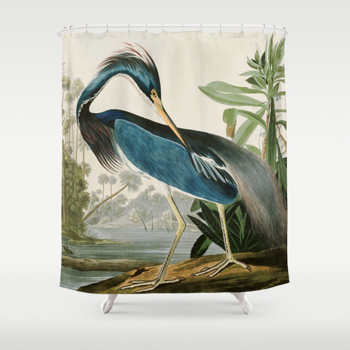 Louisiana Heron by John James Audubon  Shower Curtain Gallery Image 1