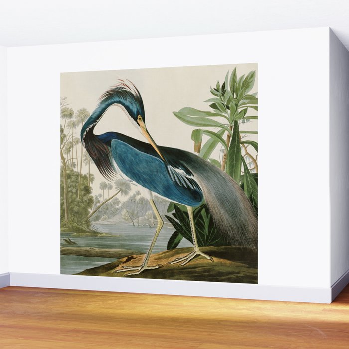 Louisiana Heron by John James Audubon  Wall Mural Gallery Image 2