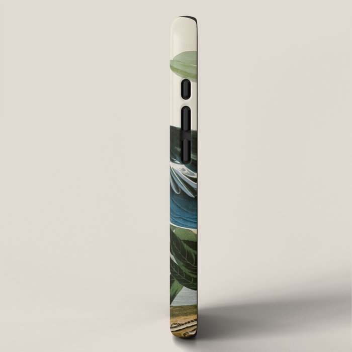 Louisiana Heron by John James Audubon  iPhone Case Gallery Image 2