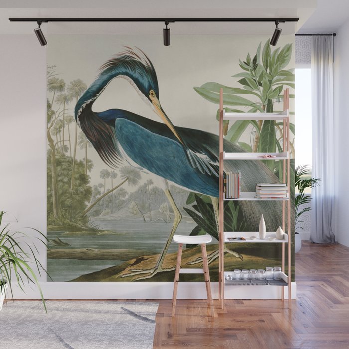 Louisiana Heron by John James Audubon  Wall Mural Gallery Image 1