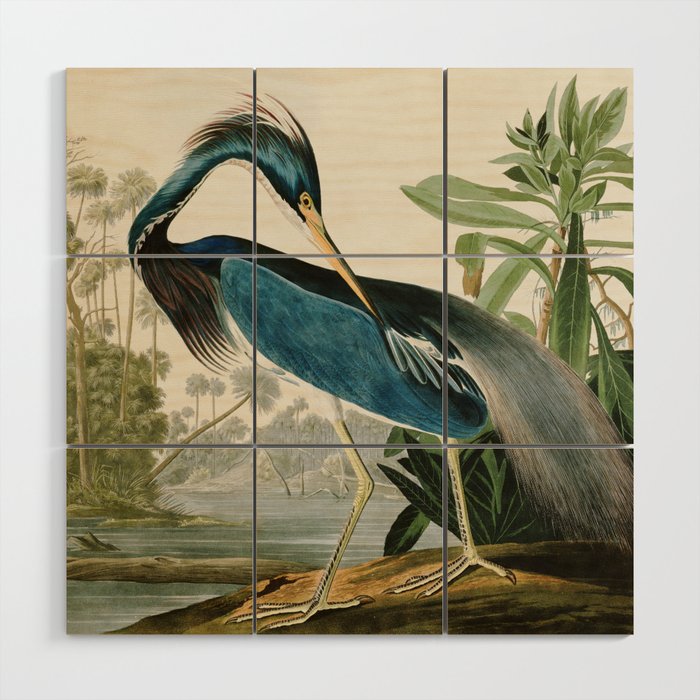 Louisiana Heron by John James Audubon  Wood Wall Art Gallery Image 1