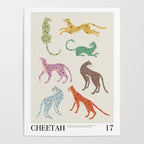 Cheetah Poster Poster Gallery Image 4