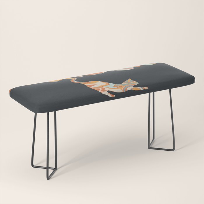 Rainbow cat 4 yoga meow Bench Gallery Image 1