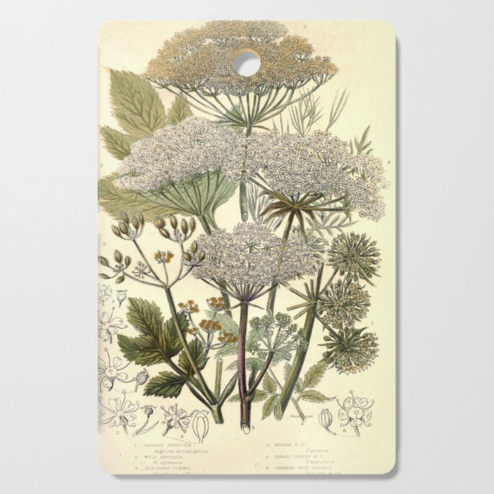 Angelica by Anne Pratt, 1800s (benefitting The Nature Conservancy) Cutting Board Gallery Image 1