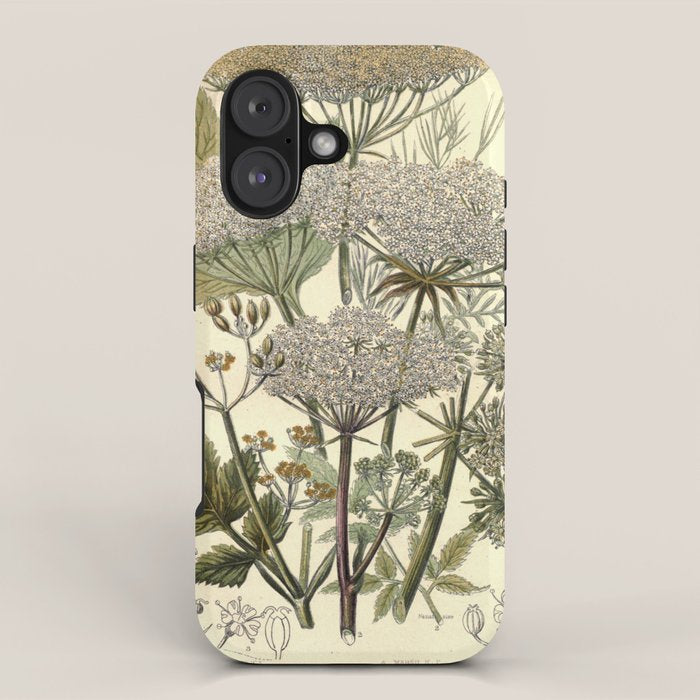 Angelica by Anne Pratt, 1800s (benefitting The Nature Conservancy) iPhone Case Gallery Image 1