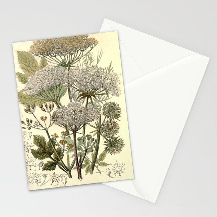 Angelica by Anne Pratt, 1800s (benefitting The Nature Conservancy) Stationery Card Gallery Image 2