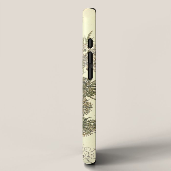 Angelica by Anne Pratt, 1800s (benefitting The Nature Conservancy) iPhone Case Gallery Image 2
