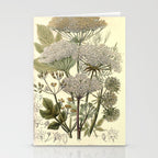 Angelica by Anne Pratt, 1800s (benefitting The Nature Conservancy) Stationery Card Gallery Image 2