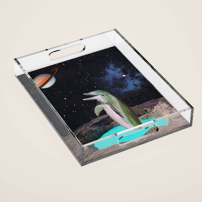 Planet Dolphin Acrylic Tray Gallery Image 1