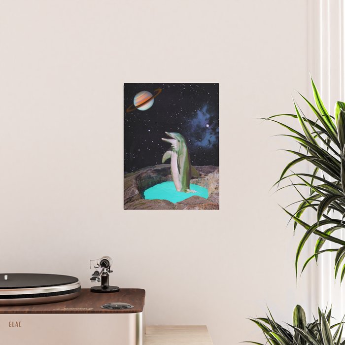 Planet Dolphin Poster Gallery Image 2