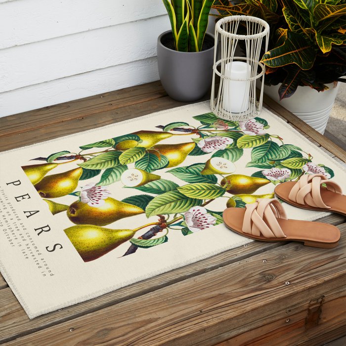 PEARS Outdoor Rug Gallery Image 2