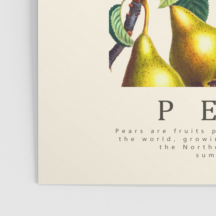 PEARS Poster Gallery Image 3