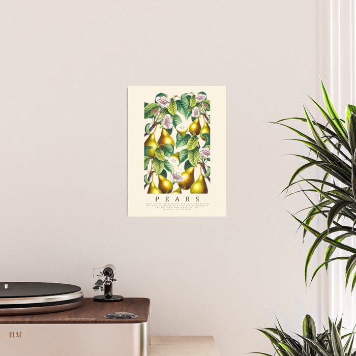 PEARS Poster Gallery Image 2