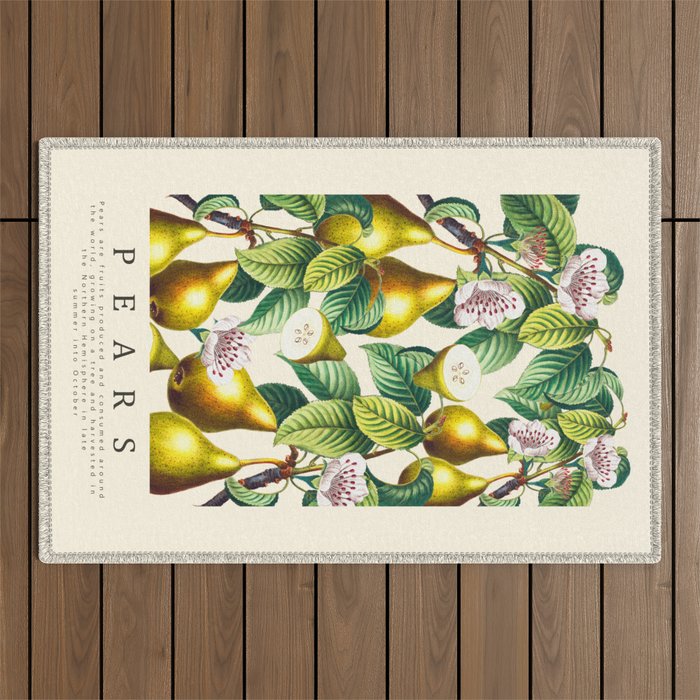 PEARS Outdoor Rug Gallery Image 1