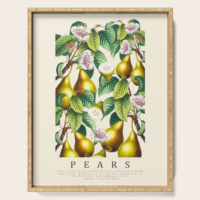 PEARS Serving Tray Gallery Image 1