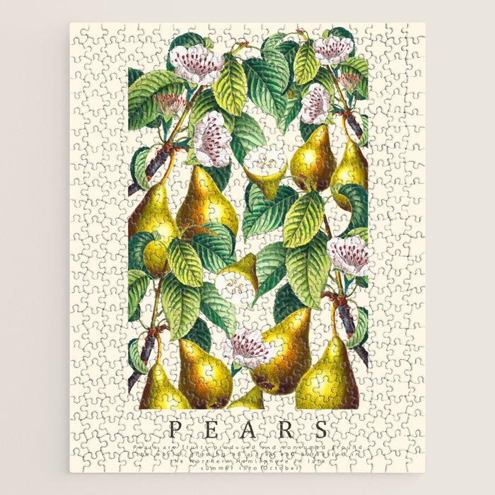 PEARS Jigsaw Puzzle Gallery Image 1