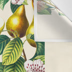 PEARS Wall Tapestry Gallery Image 3