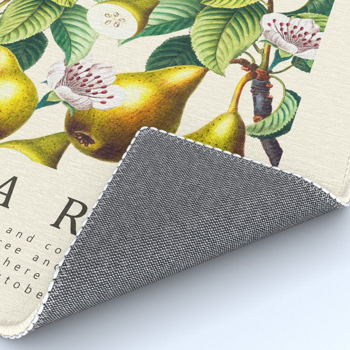 PEARS Rug Gallery Image 4