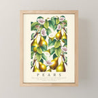 PEARS Mini Art Print Gallery Image 1