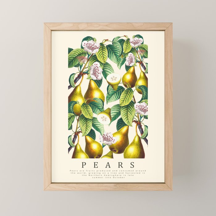 PEARS Mini Art Print Gallery Image 1