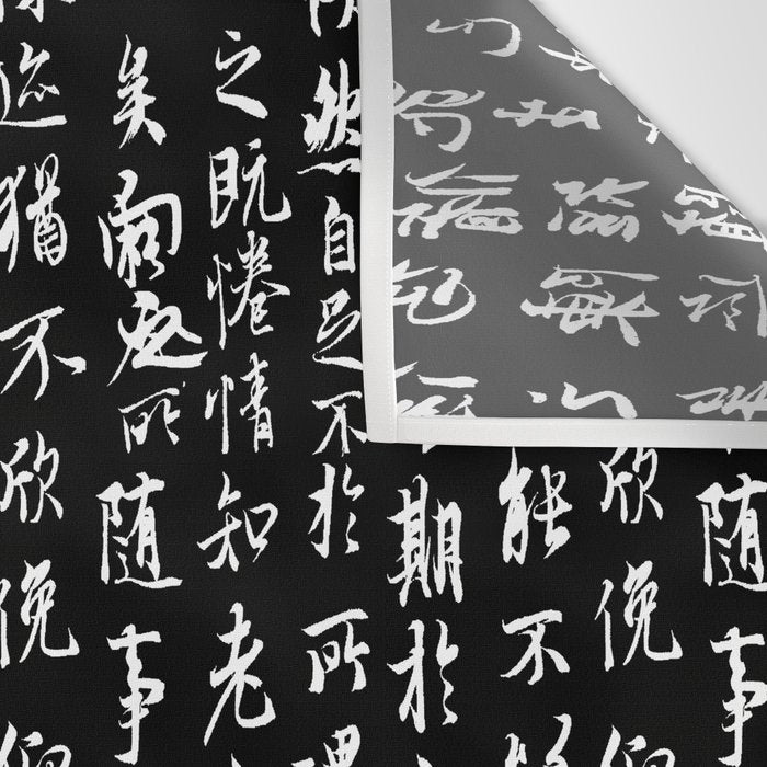 Ancient Chinese Manuscript // Black Wall Tapestry Gallery Image 3