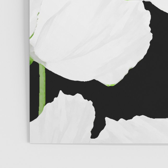 Large White Poppies on Black Background #decor #society6 #buyart Poster Gallery Image 3