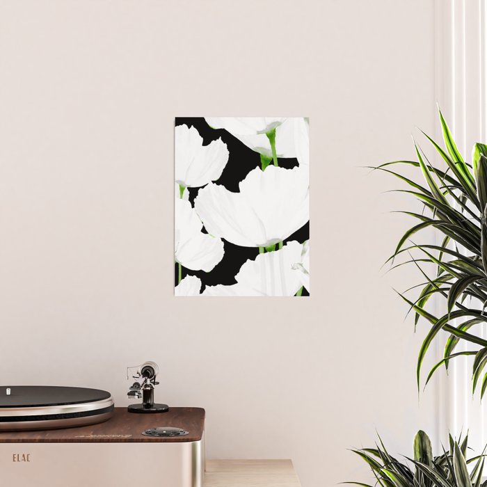 Large White Poppies on Black Background #decor #society6 #buyart Poster Gallery Image 2