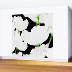 Large White Poppies on Black Background #decor #society6 #buyart Wall Mural Gallery Image 2
