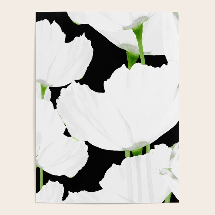 Large White Poppies on Black Background #decor #society6 #buyart Poster Gallery Image 1