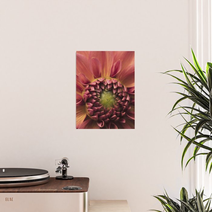 Her Heart Was Ready to Bloom - dahlia photo botanical flower art decor Poster Gallery Image 2