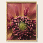 Her Heart Was Ready to Bloom - dahlia photo botanical flower art decor Serving Tray Gallery Image 1
