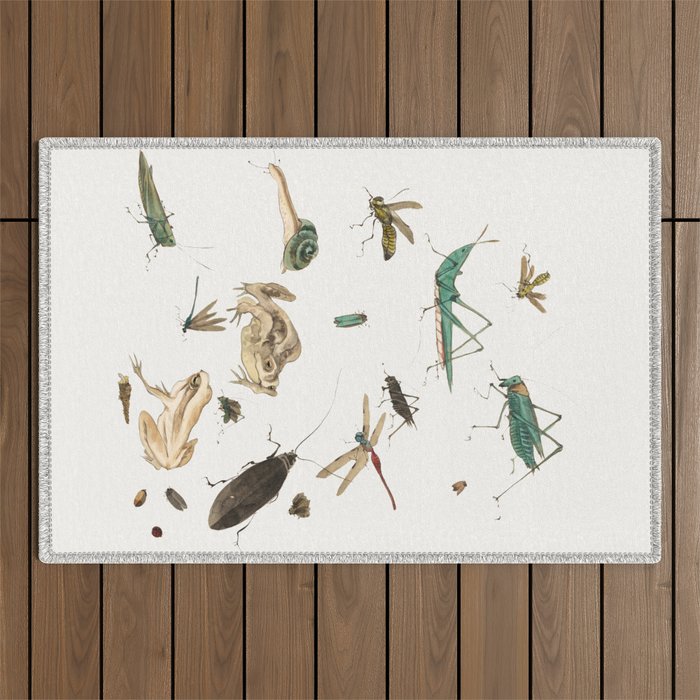 Insects frogs and a snail Outdoor Rug Gallery Image 1