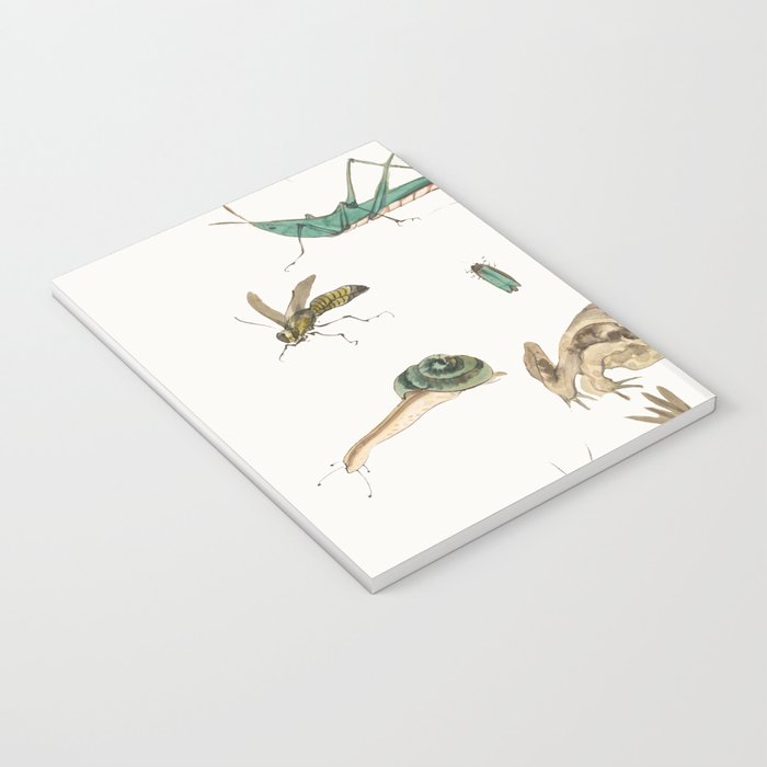 Insects frogs and a snail Notebook Gallery Image 3